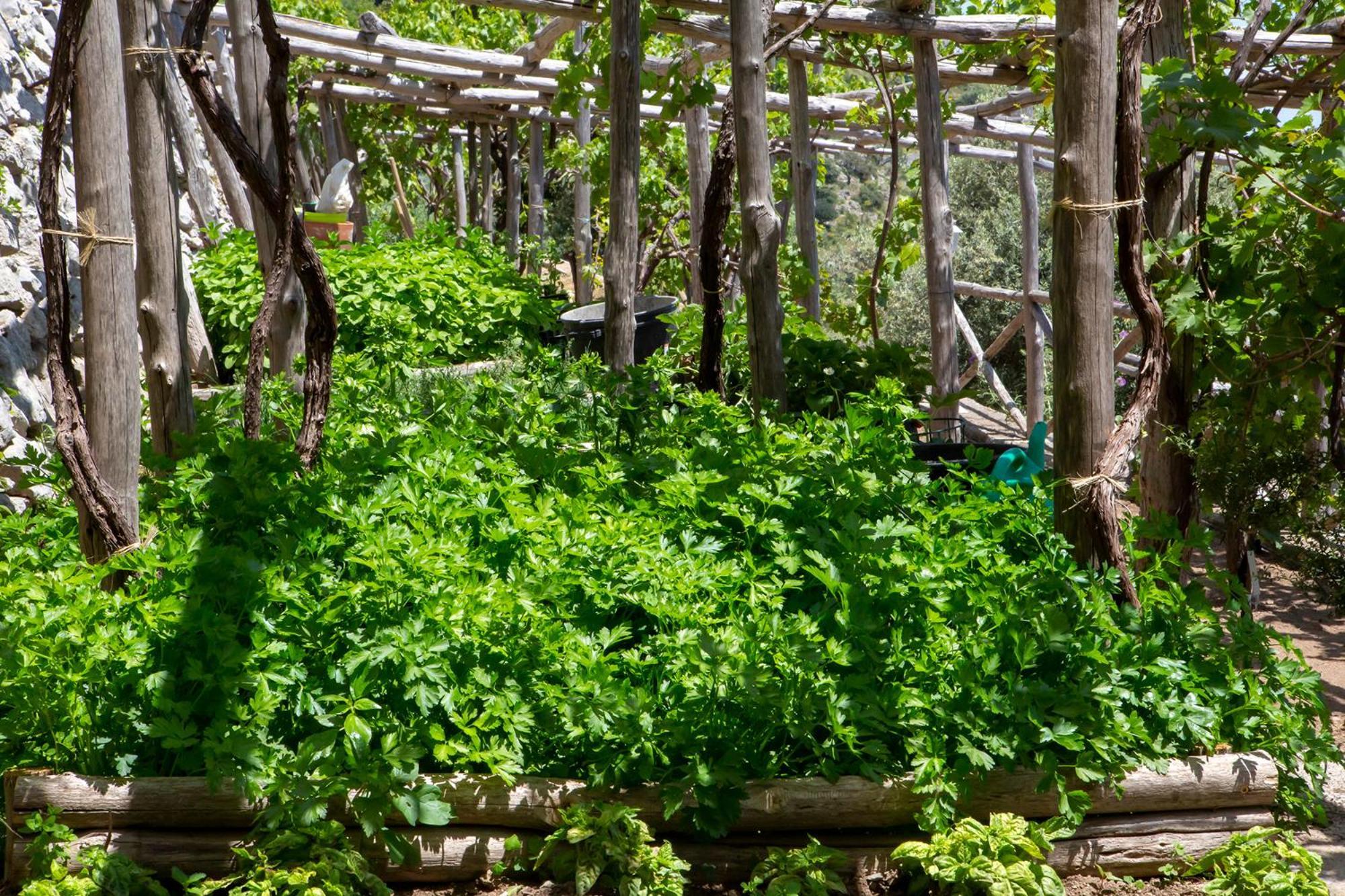 Tenuta La Picola Furore Bagian luar foto